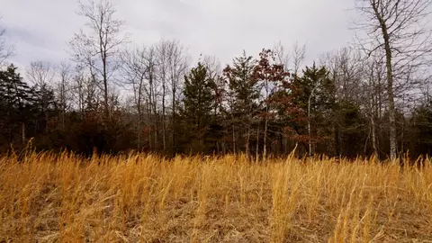lot21 Oakridge Dr, Gepp, AR 72538