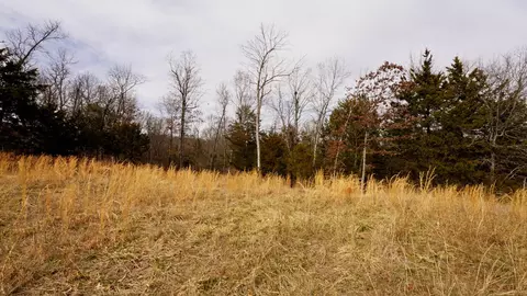 lot20 Oakridge Dr, Gepp, AR 72538