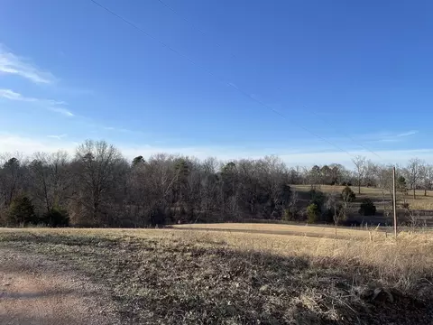 000 County Road Zz-483, Birch Tree, MO 65438