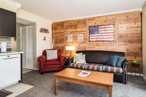 11 Scenic Ct #1, Branson, MO 65616 photo 5
