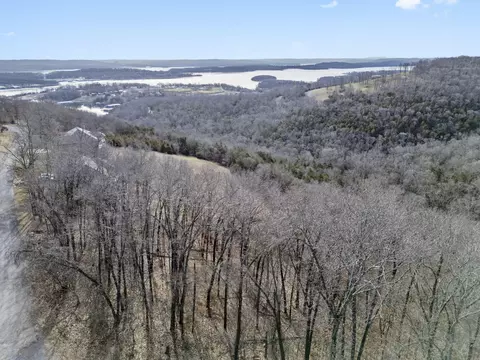 tbd Lazarus Rd, Reeds Spring, MO 65737 photo 6