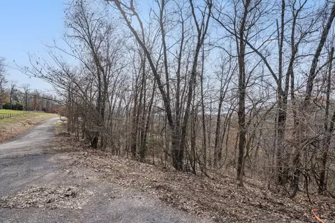 tbd Lazarus Rd, Reeds Spring, MO 65737 photo 5