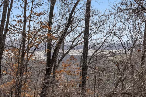 tbd Lazarus Rd, Reeds Spring, MO 65737 photo 4