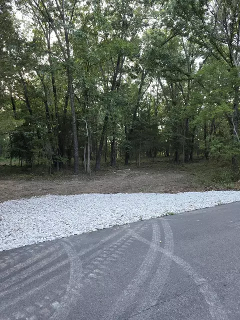 20 N Acres N Carroll Rd, Nixa, MO 65714 photo 11