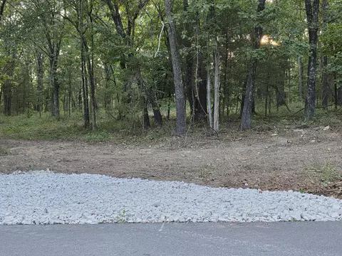 20 N Acres N Carroll Rd, Nixa, MO 65714 photo 10