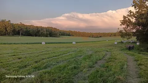 5543 County Road 9720, West Plains, MO 65775