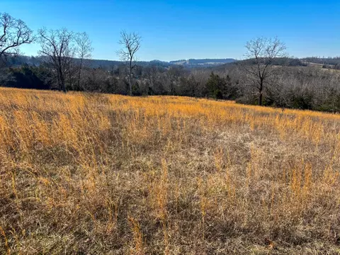 lot5 Old London Ln, Mansfield, MO 65704 photo 9