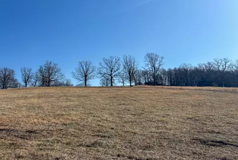 lot5 Old London Ln, Mansfield, MO 65704 photo 13
