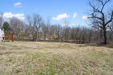 168 Primrose Ln, Clever, MO 65631 photo 24