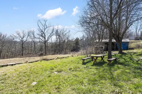 168 Primrose Ln, Clever, MO 65631 photo 23