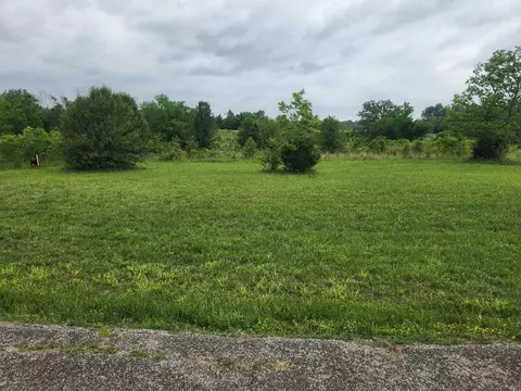 lot9 Country Music Ln, Galena, MO 65656