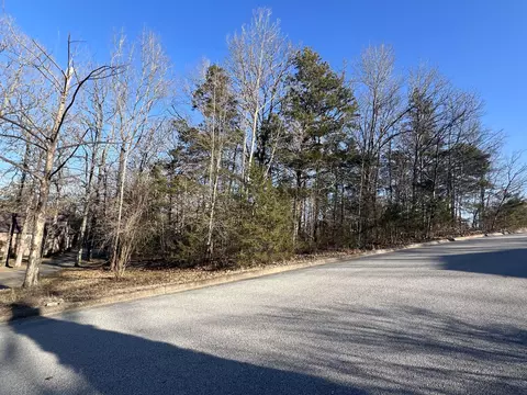 000 Country Bluff Dr, Branson, MO 65616 photo 3