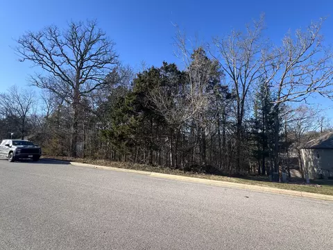 000 Country Bluff Dr, Branson, MO 65616 photo 4