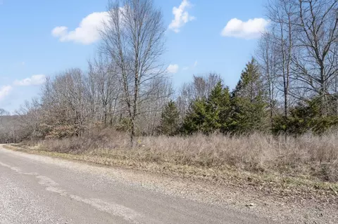 lot8 Middlegate Pl, Branson West, MO 65737 photo 8