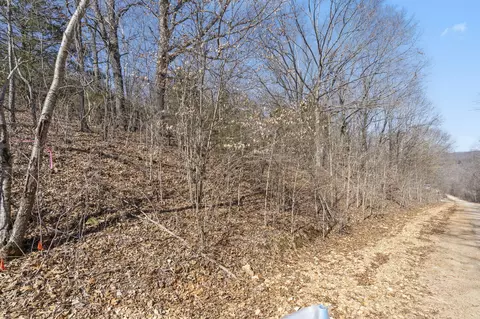 lot8 Middlegate Pl, Branson West, MO 65737 photo 13