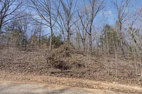 lot8 Middlegate Pl, Branson West, MO 65737 photo 12