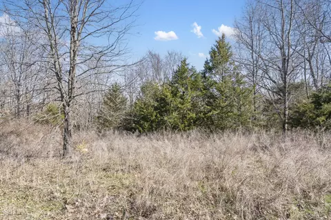 lot8 Middlegate Pl, Branson West, MO 65737 photo 9