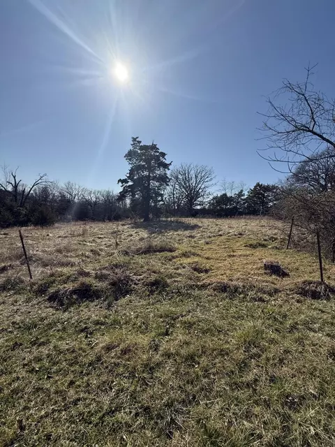 Other - 541 County Road 806, Gainesville, MO 65655 photo 4 of 4