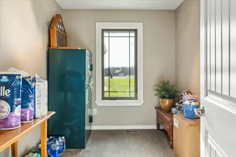321 Old Town Rd, Billings, MO 65610 photo 26