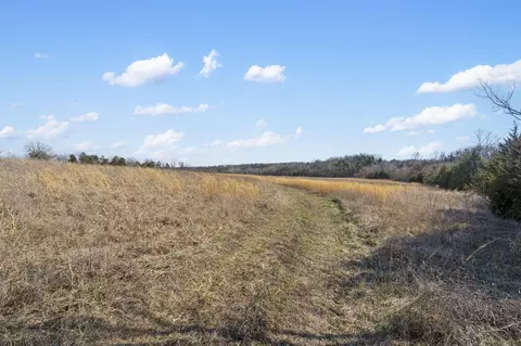 96 Alamo Dr, Buffalo, MO 65622 photo 8
