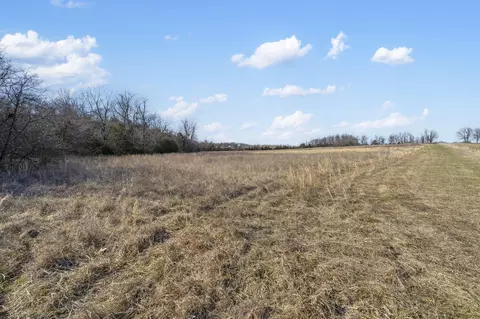96 Alamo Dr, Buffalo, MO 65622 photo 7