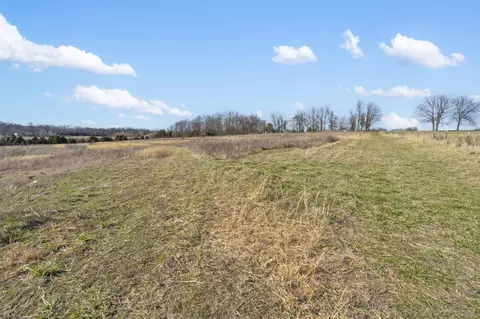96 Alamo Dr, Buffalo, MO 65622 photo 6