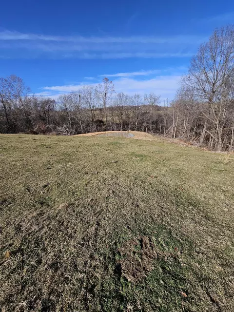 20 44 Low Gap Rd, Noel, MO 64854 photo 25