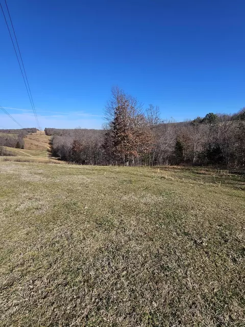 20 44 Low Gap Rd, Noel, MO 64854 photo 10