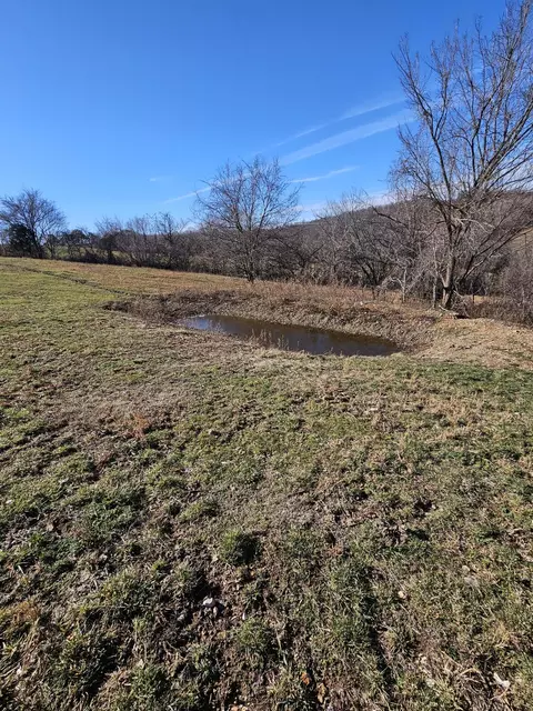 20 44 Low Gap Rd, Noel, MO 64854 photo 23