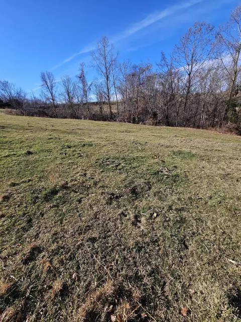 20 44 Low Gap Rd, Noel, MO 64854 photo 29