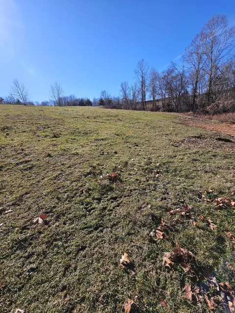 20 44 Low Gap Rd, Noel, MO 64854 photo 27