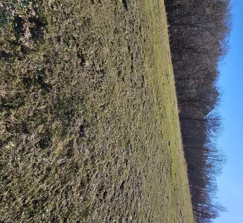 20 44 Low Gap Rd, Noel, MO 64854 photo 12
