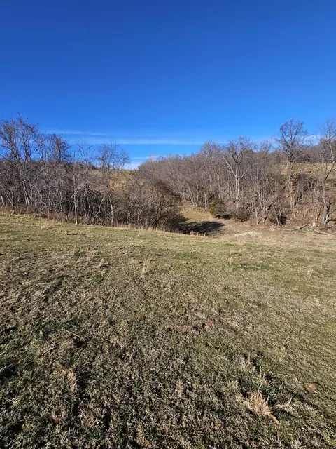 20 44 Low Gap Rd, Noel, MO 64854 photo 13