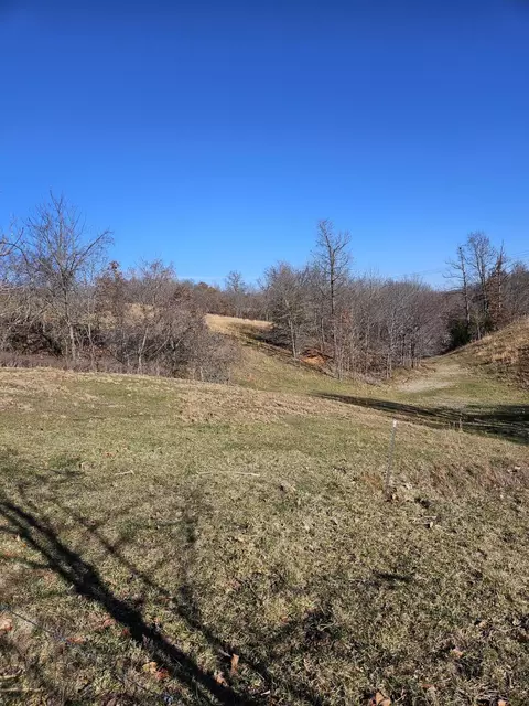 20 44 Low Gap Rd, Noel, MO 64854 photo 6