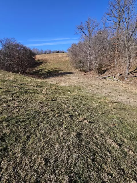 20 44 Low Gap Rd, Noel, MO 64854 photo 14