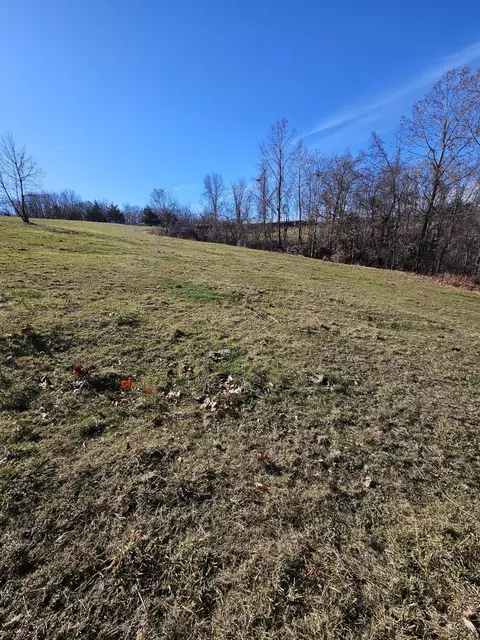 20 44 Low Gap Rd, Noel, MO 64854 photo 28