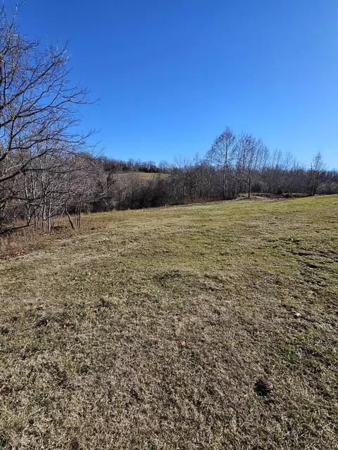 20 44 Low Gap Rd, Noel, MO 64854 photo 9