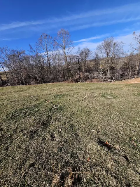 40 19 Acre Low Gap Rd, Noel, MO 64854 photo 30