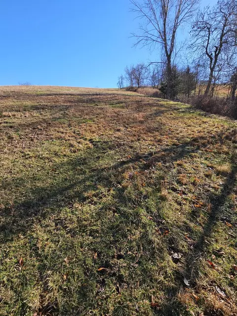 40 19 Acre Low Gap Rd, Noel, MO 64854 photo 20