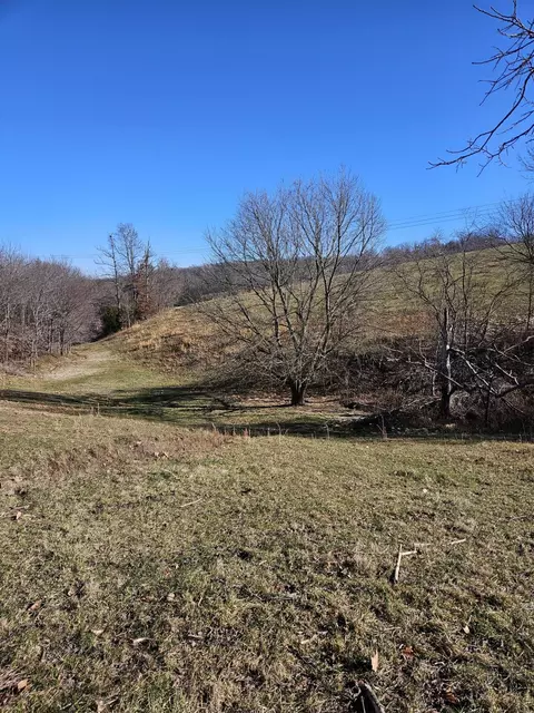 40 19 Acre Low Gap Rd, Noel, MO 64854 photo 5