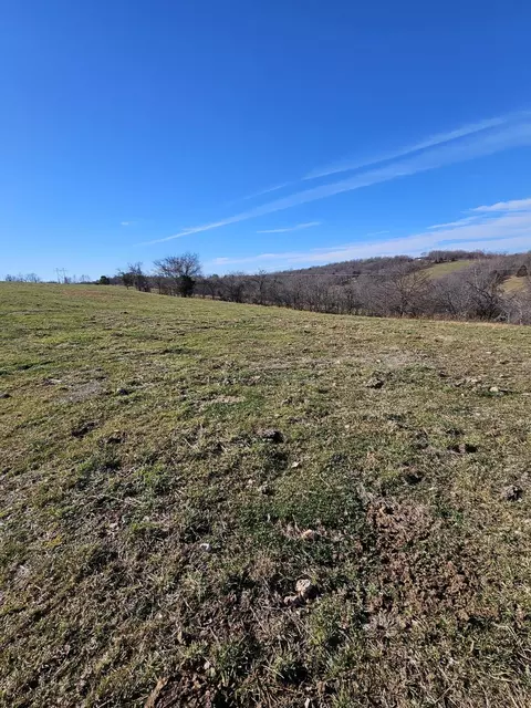 40 19 Acre Low Gap Rd, Noel, MO 64854 photo 24