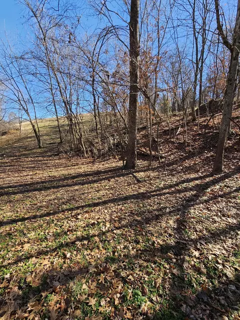40 19 Acre Low Gap Rd, Noel, MO 64854 photo 18