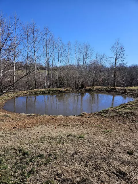 40 19 Acre Low Gap Rd, Noel, MO 64854 photo 7