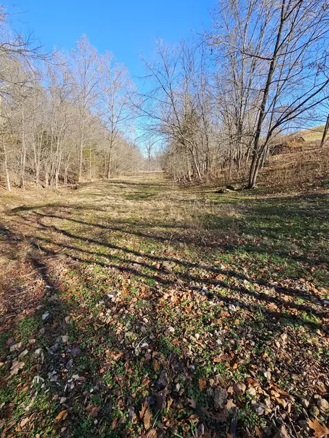 40 19 Acre Low Gap Rd, Noel, MO 64854 photo 19