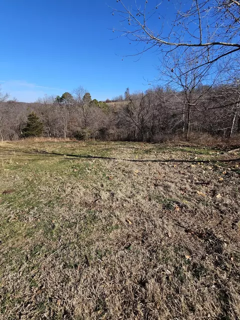 40 19 Acre Low Gap Rd, Noel, MO 64854 photo 8
