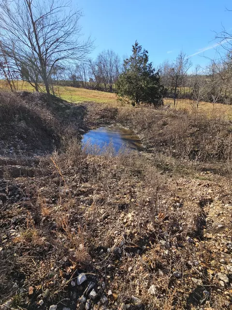 40 19 Acre Low Gap Rd, Noel, MO 64854 photo 22