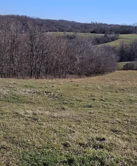 40 19 Acre Low Gap Rd, Noel, MO 64854 photo 4