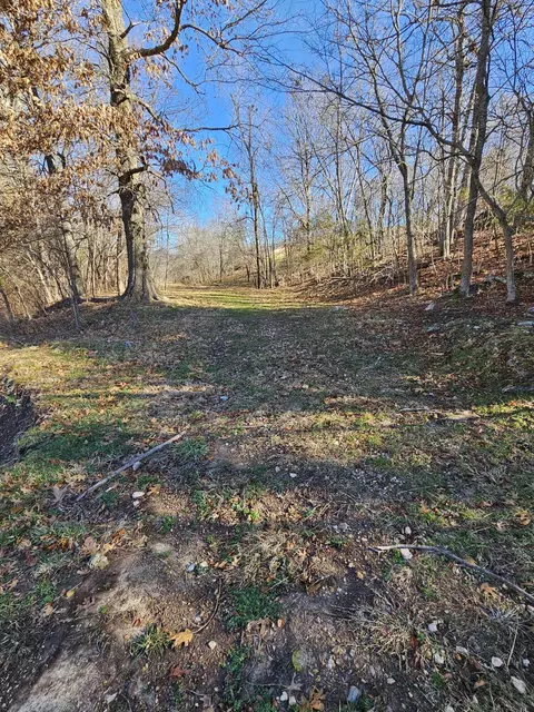 40 19 Acre Low Gap Rd, Noel, MO 64854 photo 16