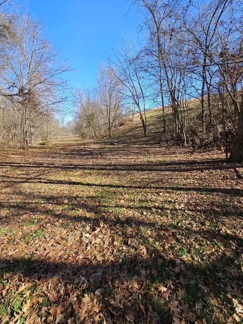 40 19 Acre Low Gap Rd, Noel, MO 64854 photo 17