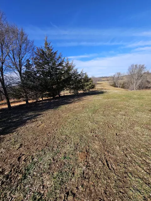 40 19 Acre Low Gap Rd, Noel, MO 64854 photo 33